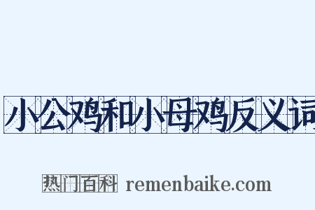 小公鸡和小母鸡反义词是什么意思的图片